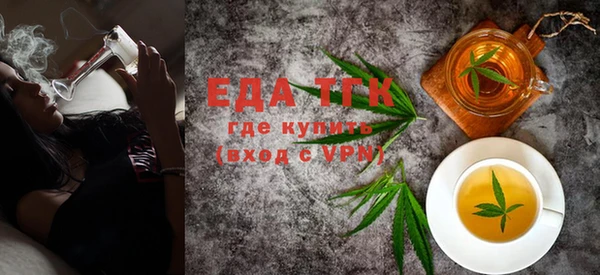 шишки Сатка
