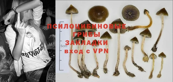 стаф Алексеевка