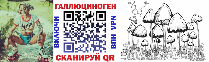 Псилоцибиновые грибы MAGIC MUSHROOMS  mega tor  Карабаш 